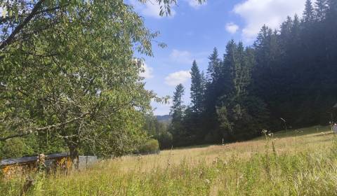 Na predaj: Rozľahlý pozemok v krásnom prostredí – Dlhá nad Kysucou