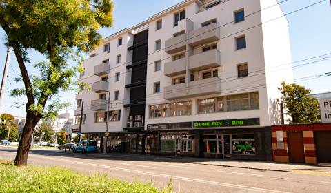 Predáme NP na Záhradníckej ulici