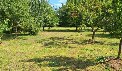 Na predaj stavebný POZEMOK  s Benefitmi Selice okr. Šaľa 