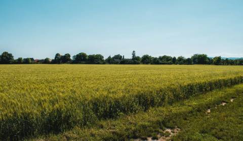 Výrava – Podiely na poľnohospodárskej pôde