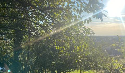 ViNi real - Exkluzívny pozemok v Stupave, 2163 m2, VIS 