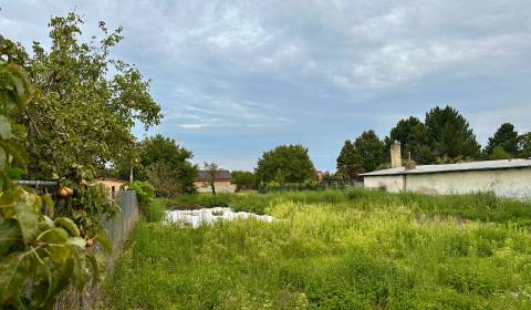 ViNi real - EXKLUZÍVNE STP Orechová Potôň