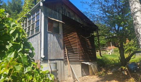 Záhrada v kúpeľnom meste Trenčianske Teplice 