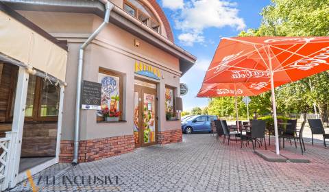 PODNIKATEĽSKÁ PRÍLEŽITOSŤ – BAR A PIZZÉRIA, DUN.STREDA