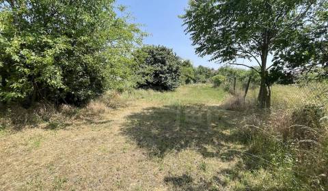 Skvelá investičná príležitosť - 30 árový stavebný pozemok v Nových Zám