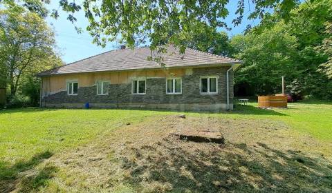 Dom uprostred lesa na samote - útočisko pred ruchom mesta