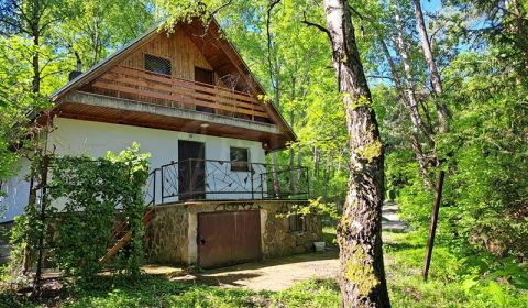 NOVÁ CENA - Chata v lesnom prostredí - ideálne miesto na relax v príro