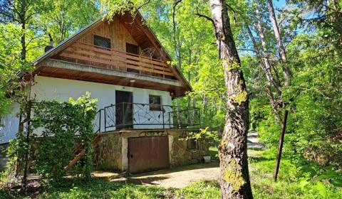 Chata v lesnom prostredí - ideálne miesto na relax v prírode