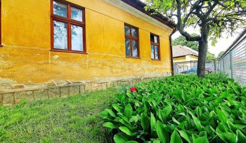 Vidiecky dom na pozemku s rozlohou 4780m2 v obci Šurianky