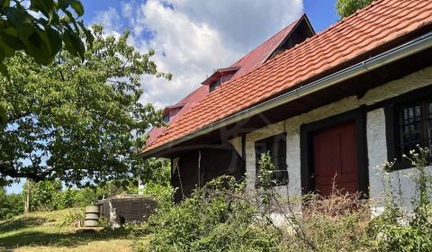 Rozsiahla vinica s historickou chatou v Slovenskom krase