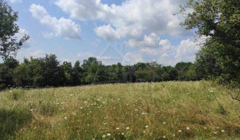 Pozemok s riunami domu v peknom prostredí polosamoty