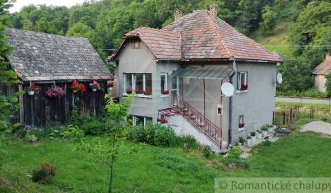 Vidiecka usadlosť s možnosťou podnikania – bývanie, agroturistika!