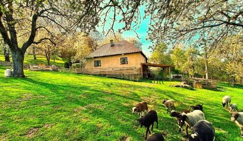 SKVELÁ CENA ! Exkluzívne - Dom/ chalupa na samote v objatí krásnej prí