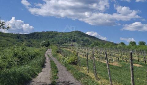 Vínny domček s nádhernými výhľadmi – splnený sen každého vinára