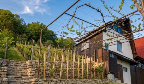 NOVÁ CENA - Vínny domček s nádhernými výhľadmi – splnený sen každého v
