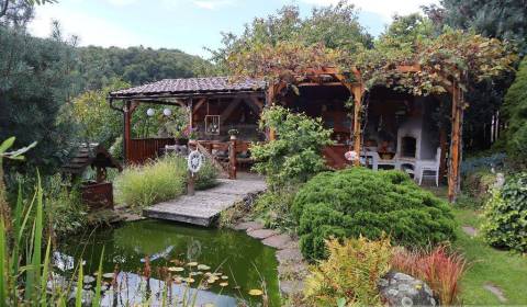 NOVÁ CENA !Chalupa v čarovnom prostredí lazov pri Hornom Tisovníku.