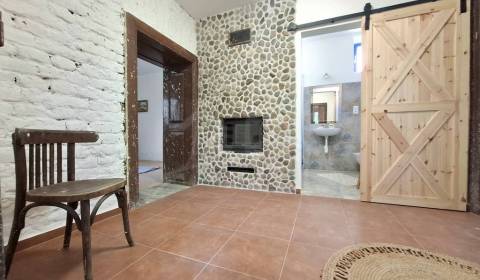 Čiastočne zrekonštruovaný vidiecky dom na rozľahlom pozemku v podunajs