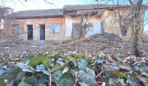 Pôvodná chalúpka v kľudnej časti podunajskej vinárskej dedinky Moča