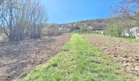Rozľahlý 4500 m2 pozemok na hospodárenie s vínnym domom v obci Nána bl