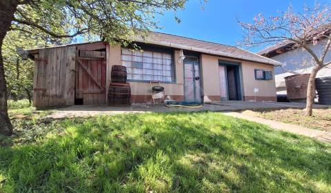 Viničná chatka blízko lesa na rozľahlom pozemku v obci Nána neďaleko Š