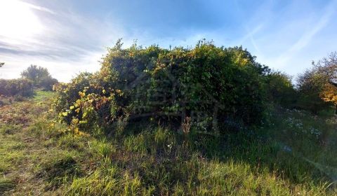 515 m2 pozemok v kľudnej časti podunajskej vinárskej dedinky Moča