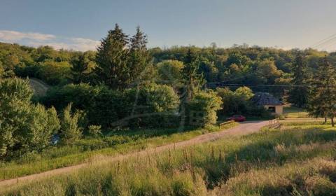 Lesnatý pozemok s pozostatkami pôvodného domu v malebnej dedinke Šarka