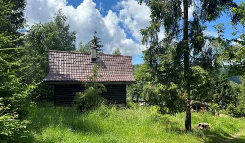 Útulná drevenička blízko lyžiarskeho vleku Kokava-Línia. Super cena