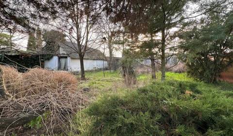 Malý domček na veľkom pozemku len 4 km od Nových Zámkov – kúsok raja n