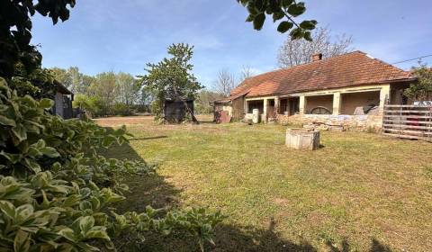 Starý sedliacky dom s veľkým pozemkom v Kolte – ideálna príležitosť na