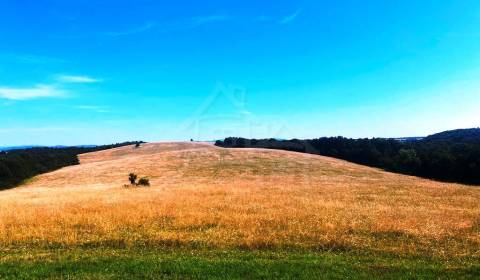 25Ha čistej prírody s lesom a budovami čaká na svojho nového majiteľa 