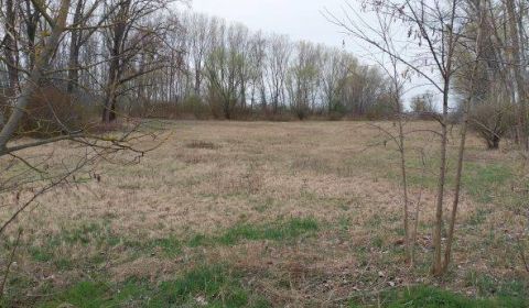 Rovinatý pozemok  17.000 m2 V. Kosihy (Komárno)