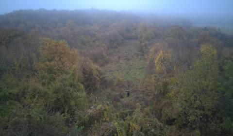 Pozemok  1840 m2 Dolné Štitáre