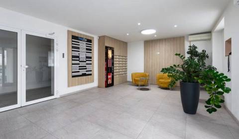 Kancelárske priestory od 17m2, Koceľova ul.