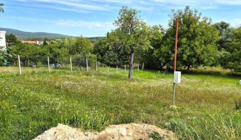 Pozemok na predaj - Závada, okr. Topoľčany