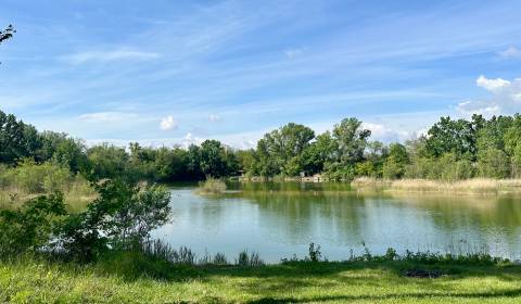 ViNi real – Kalinkovo: Vidiecke sídlo s rozľahlým pozemkom