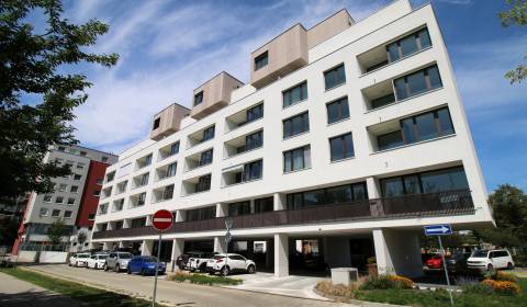 Tomášikova ul.  - prenájom parkovacieho státia