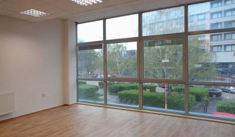 Priestory s plochami 90 m²  v centre Trnavy