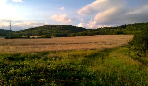 Bunetice - 2.900 m2 ORNÁ PÔDA