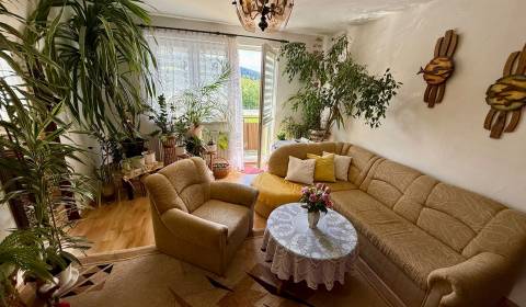 Slnečný trojizbový byt, Turzovka