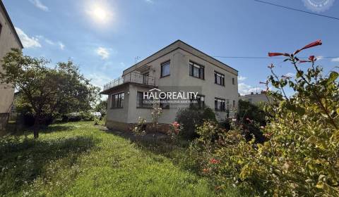 Predaj, rodinný dom Oslany - EXKLUZÍVNE HALO REALITY