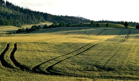 Kecerovské Pekľany – 15.000 m2 ORNÁ PÔDA a LESY