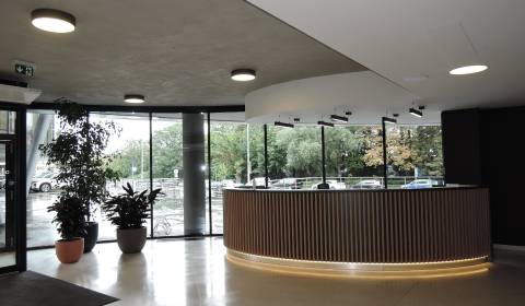 Prenájom moderných kancelárií na začiatku Petržalky, 230 m2