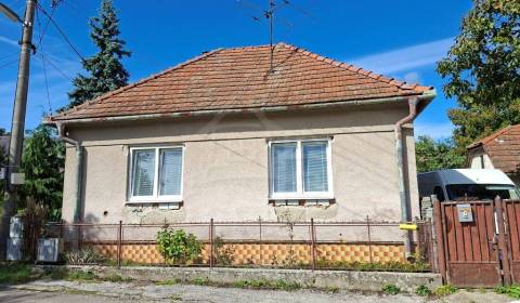 Dva rodinné domy za cenu jedného v obci Zlatno