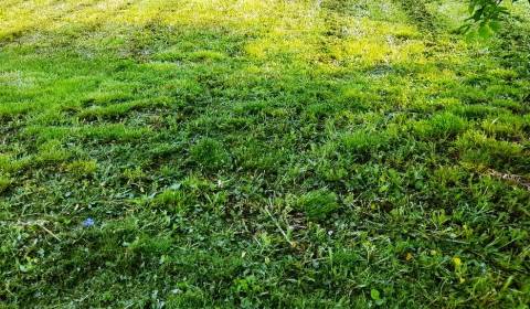 Pozemok na výstavbu rodinného domu v okrajovej časti  mesta Michalovce