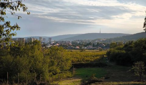 Predaj : Pozemok v Rači 2089m2 Možnosť rozdelenia pozemku na 3 časti!