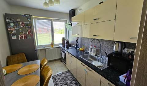 Predáme zrekonštruovaný 3-izbový byt, obec Sľažany, časť Horné Sľažany