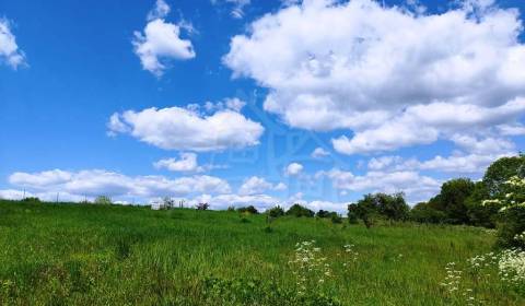 5Ha samota s vlastnou studňou a z časti oploteným pozemkom pri obci Su