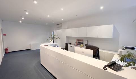 Prenájom ZARIADENÉ kancelárie s TERASOU, Mýtna ul. 212m2 - 276m2