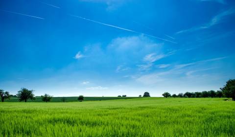 Stavebný pozemok Čaka, okres Levice