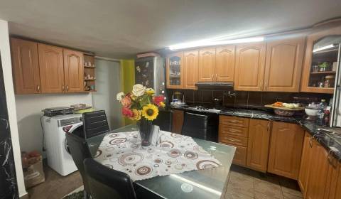 Rodinný dom v obci Topoľnica, s veľkým pozemkom